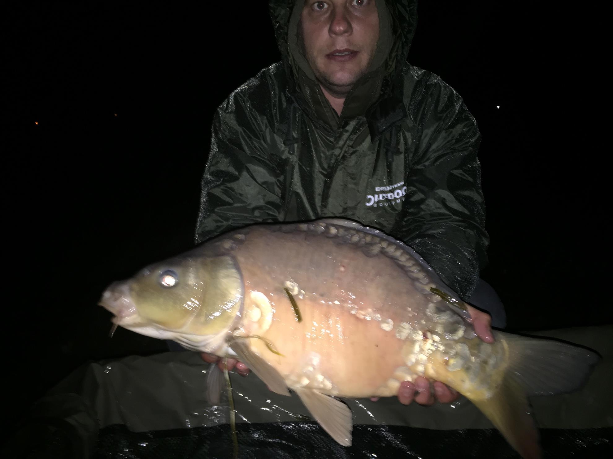 De pe balta adunate - image111111.jpg